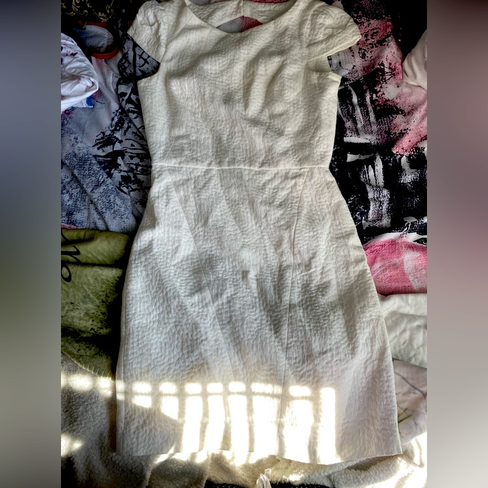 Calvin Klein Woman’s Sleeveless Sheath Dress